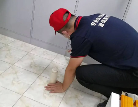 办公楼宇虫控案例